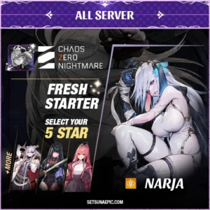 Narja Chaos Nightmare Zero Account Starter All Server