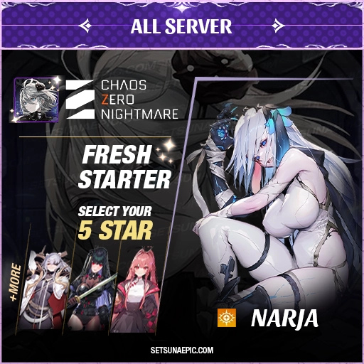 Narja Chaos Nightmare Zero Account Starter All Server