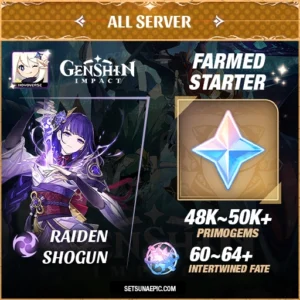 Raiden Genshin Impact Farmed Starter Account All Server