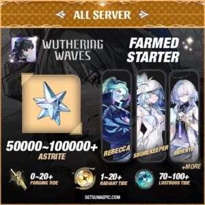Wuthering Waves resource account