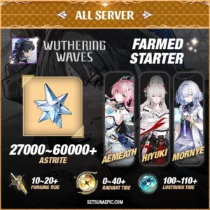 Wuthering Waves Characters Resource Account Starter America Server