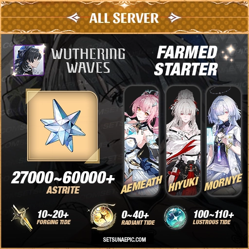 Wuthering Waves Characters Resource Account Starter All Server